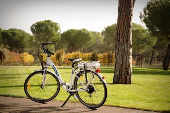 Bici en Finca Villacrece, Ribera del Duero. Foto de la página oficial Grupo Artevino