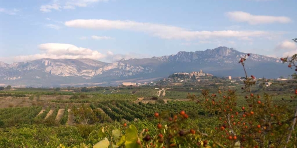 Vista de Orben en La Guardia, La Rioja. Foto: www.bodeboca.com
